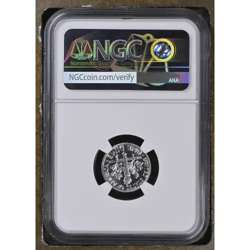 1963 FS-801 CAMEO (3)