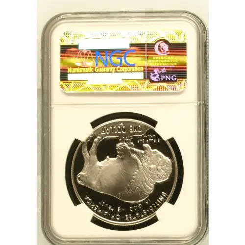 2001 BUFFALO ULTRA CAMEO (3)