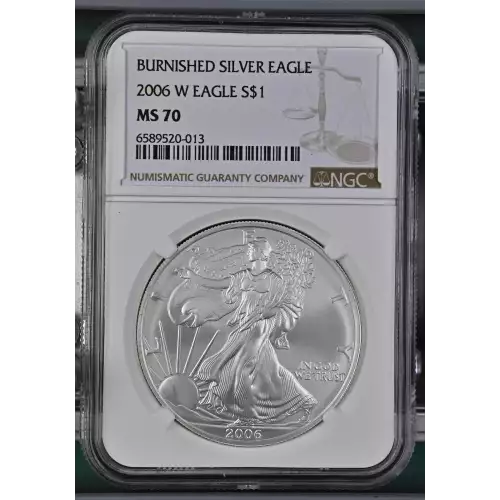 2006 W BURNISHED SILVER EAGLE (2)