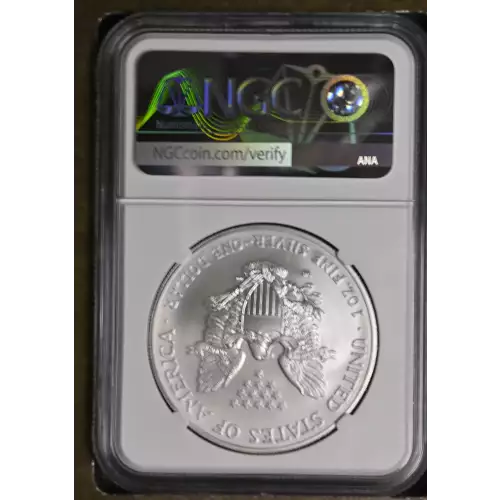 2006 W BURNISHED SILVER EAGLE (3)