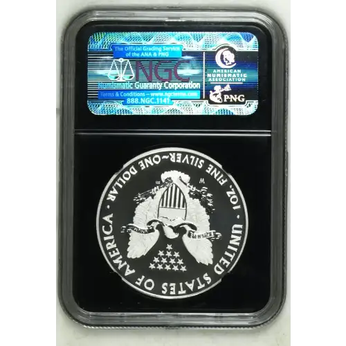 2013 W WEST POINT EAGLE SET EARLY RELEASES OFFICIAL US MINT SET ENHANCED FINISH (3)