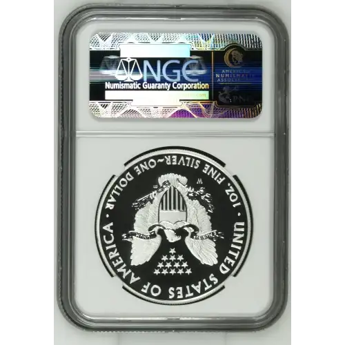 2013 W WEST POINT EAGLE SET EARLY RELEASES OFFICIAL US MINT SET ENHANCED FINISH (3)