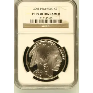2001 BUFFALO ULTRA CAMEO (2)